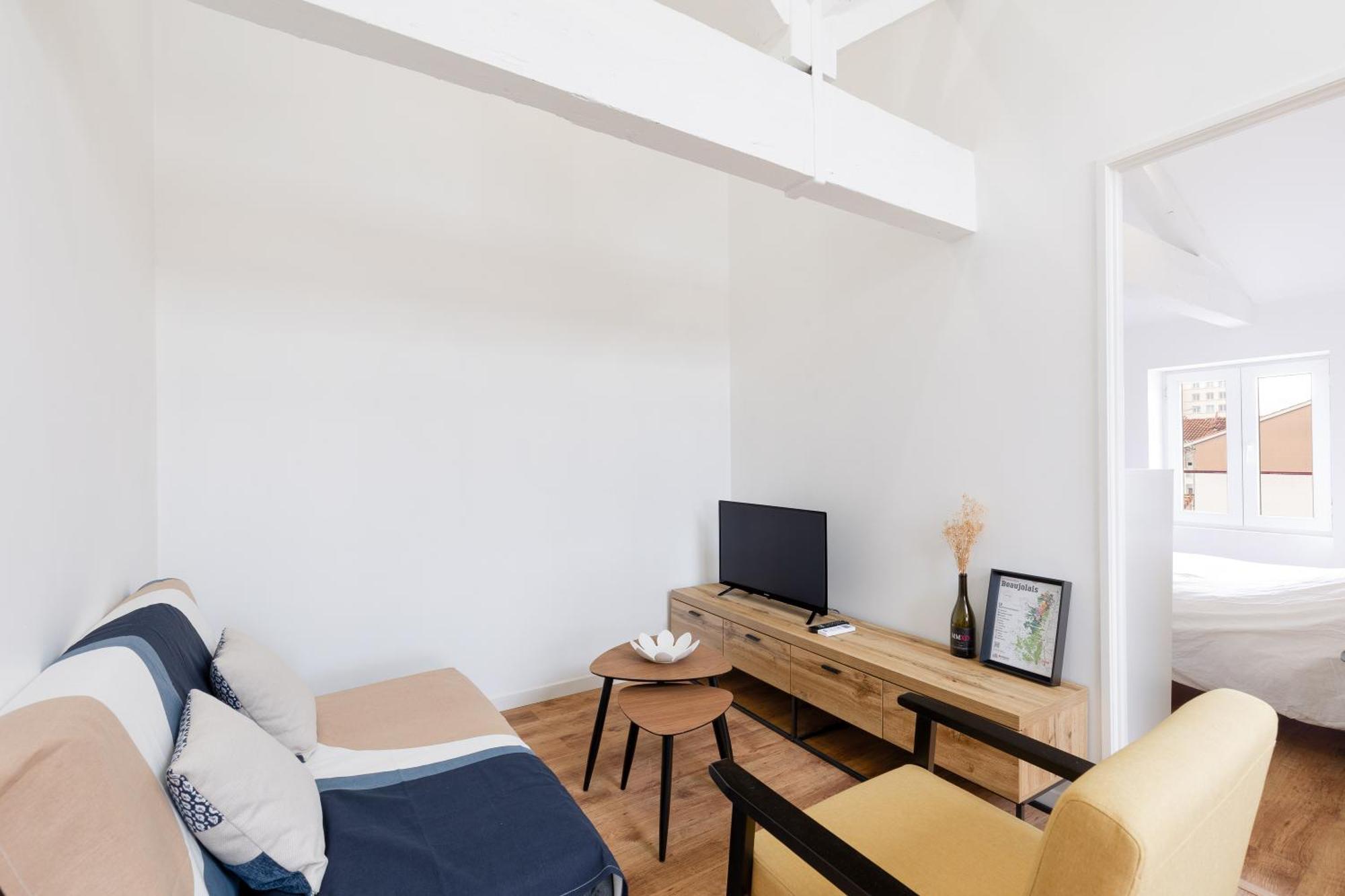 Appartement Climatise 2 Chambres Villefranche-sur-Saone Ngoại thất bức ảnh